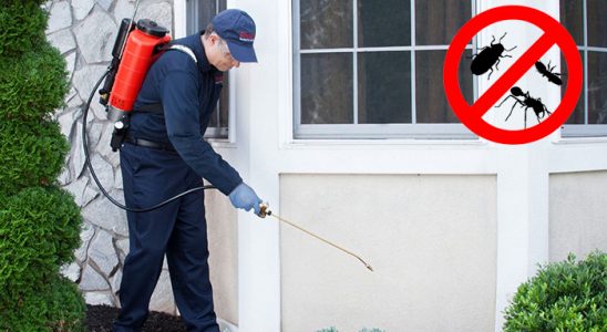 Mithatpaşa Haşere İlaçlama böcek ilaçlama ve haşere kontrolü — ilaclama-tr.com